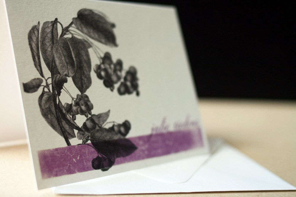 Botanical Distressed Folded Notecards
